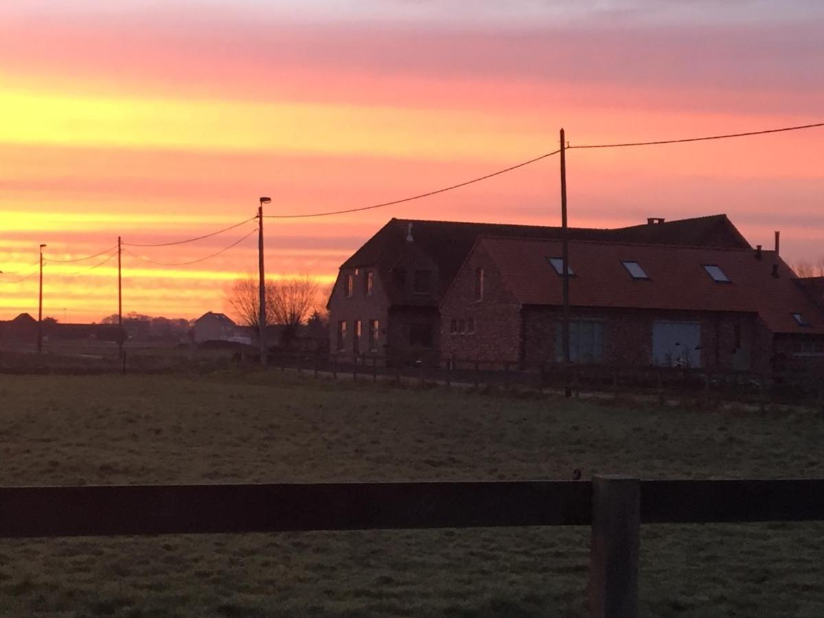 Hof Ter Dreef Bed & Breakfast Meise Luaran gambar