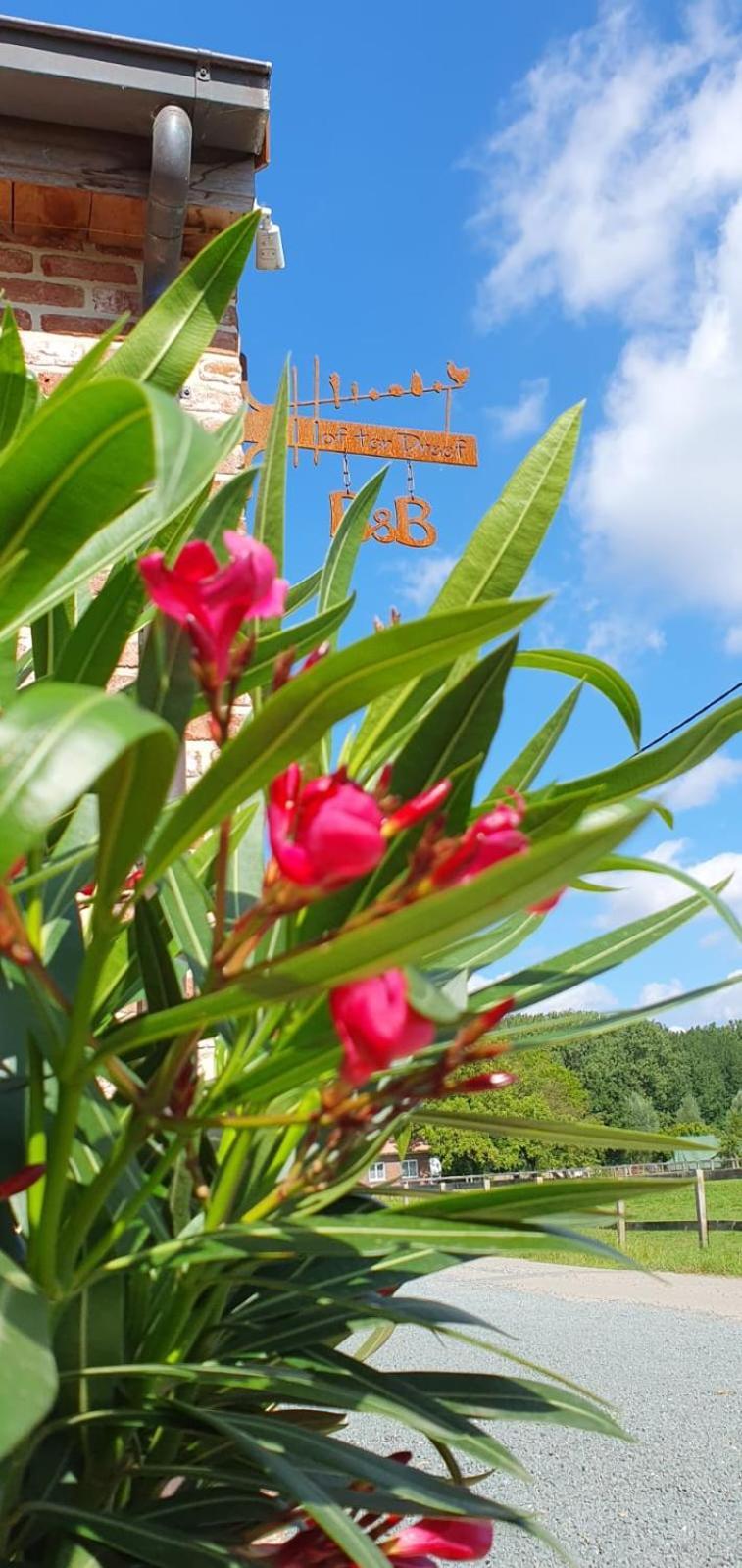 Hof Ter Dreef Bed & Breakfast Meise Luaran gambar